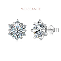 Orecchini Donna in Argento Moissanite EBEUR01